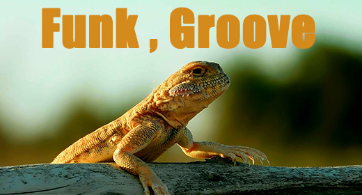 Funk, Groove