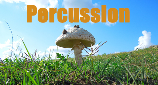Percussion