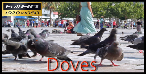 Doves