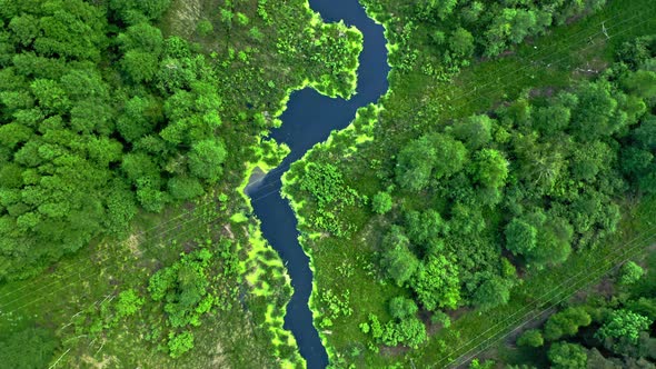 Flying above small river and green forest in summer. alt