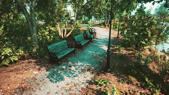 Empty Benches in the Park During the Quarantine Due to the Pandemic COVID19 alt