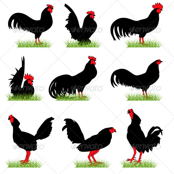 Roosters Silhouettes Set