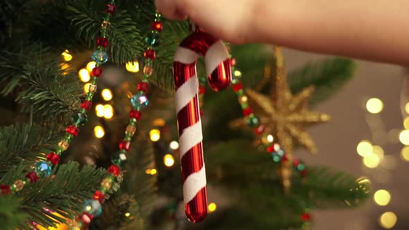 Little Childs Hands Decorate Christmas Tree with Lollipop
