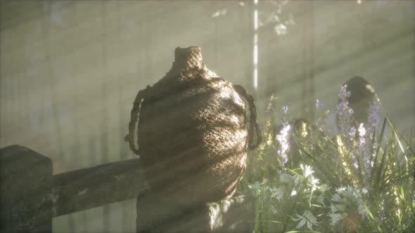 Japan Bamboo Forest and Green Meadow Grass with Natural Light alt