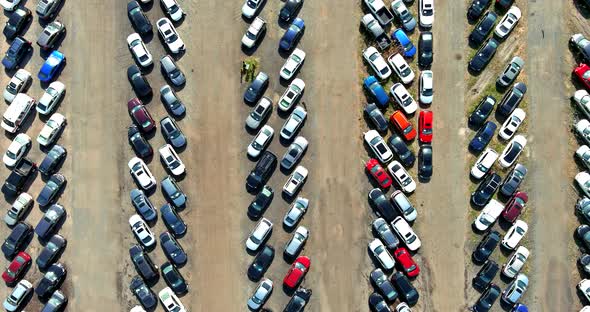 Rows a many used cars parking auction lot terminal parked alt