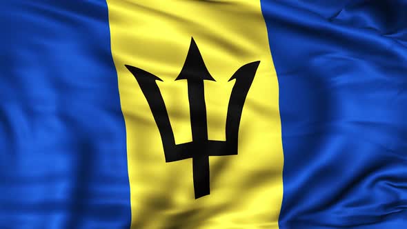 Barbados Flag