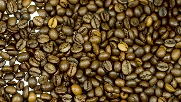 Coffee Beans Poured with Milk. Top View. Close-up. Black and White Concept alt