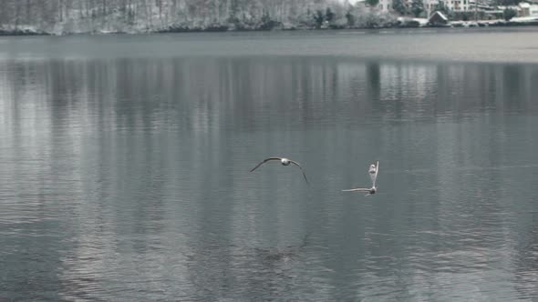 Winter Wonderland 11 alt