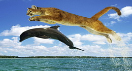 My Private Bookmarks