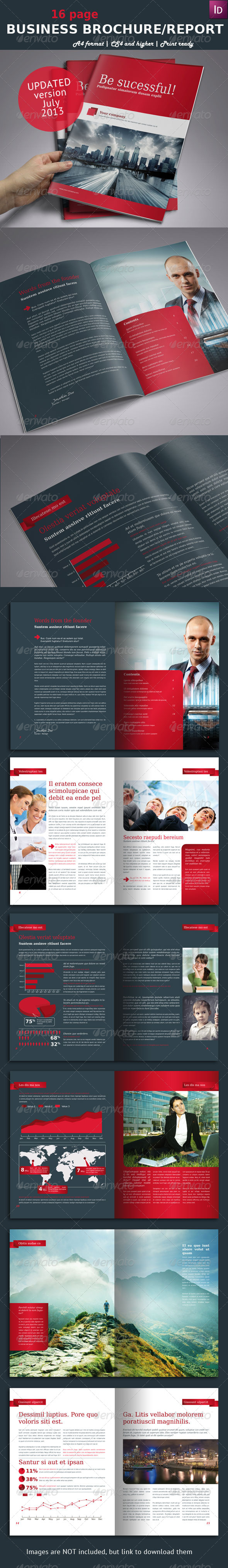 Business Brochure / Report A4