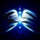 Angel Wings with American Flag, Vectors | GraphicRiver