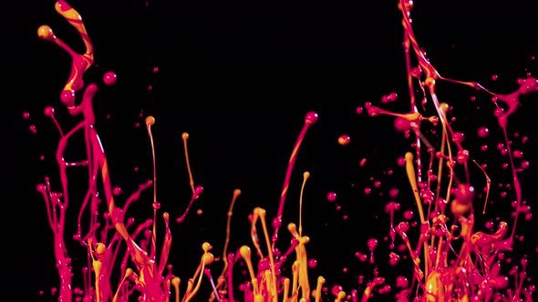 Colorful Splashing Paint in Super Slow Motion at 1000Fps alt