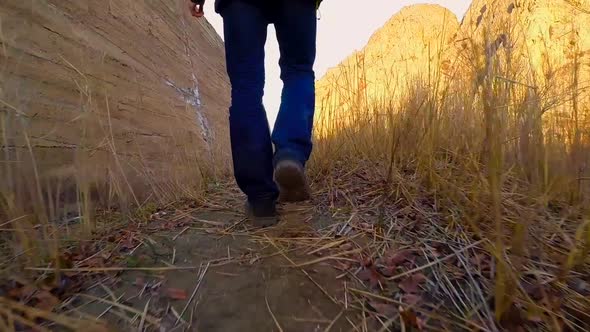 The Man is Walking alt