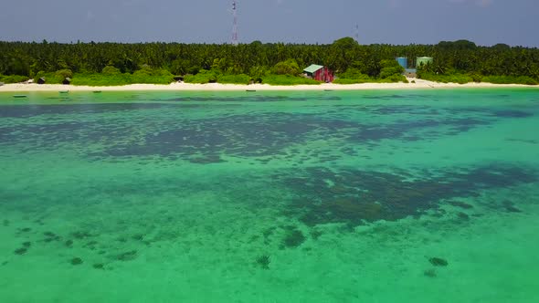 Sunny landscape of exotic sea view beach wildlife by clear ocean with sand background near sandbank alt