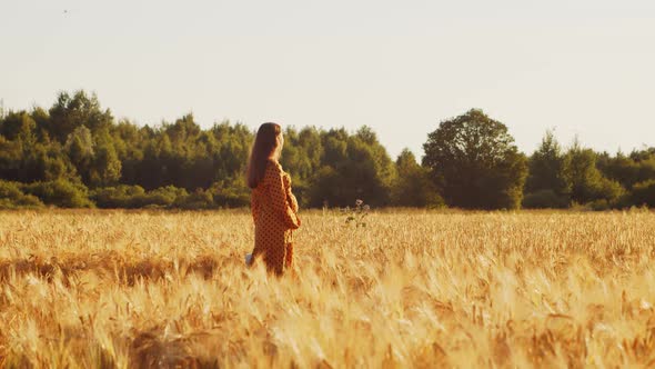 Pregnant woman in the rays of the sunset in the field alt