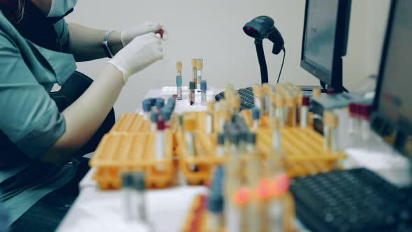 Many Medical Test Tubes with Blood Tests on the Table in the Laboratory alt
