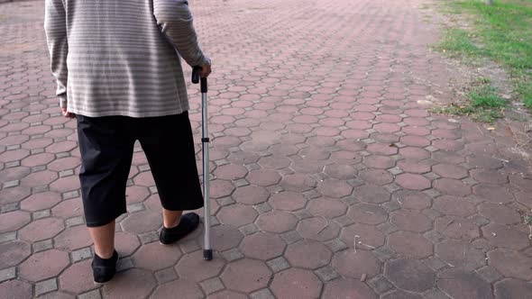 close up senior woman legs walking with walking stick in the park alt