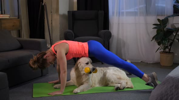 Fit Sportwoman Doing Handstand Exercise with Pet alt