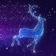 Christmas Reindeer Widescreen Background - VideoHive Item for Sale