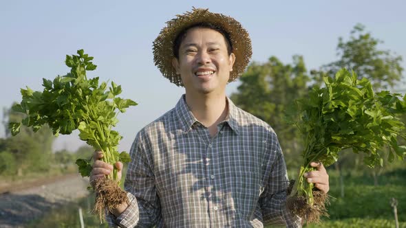 Happy Asian farmer harvest fresh vegetables at farm. alt