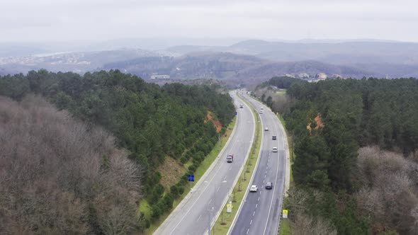 Trees And Highway Aerial View
