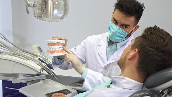 Dentist Shows the Client the Layout of Human Teeth alt