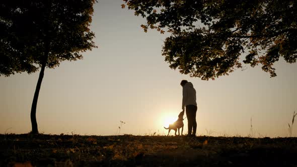 Silhouettes of Woman Training and Playing with Her Dog During Amazing Sunset alt