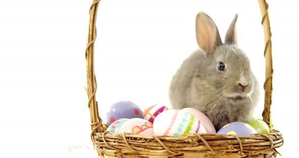 Easter eggs and Easter bunny in wicker basket alt