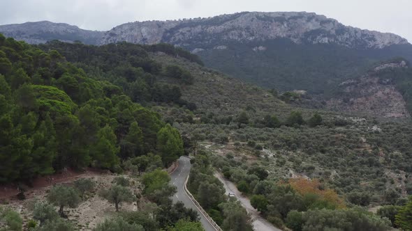 Aerial View of Fields with Olive Trees Growing in a Landscape City alt
