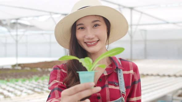 Asian woman looking at camera with smiling show young healthy plant organic vegetable.