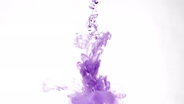 Purple Paint Flows in Water