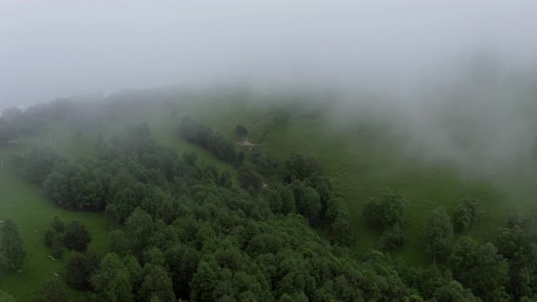 Aerial view mountains trees through clouds, fog. Horses grazing, Nizhny Arkhyz alt