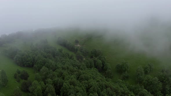 Aerial view mountains trees through clouds, fog. Horses grazing, Nizhny Arkhyz
