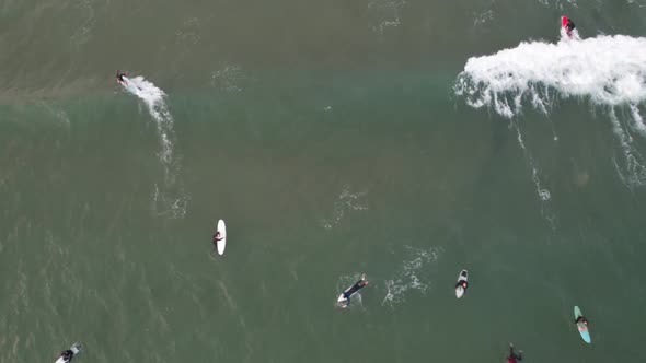 Group of surfers