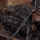 Fire After Electrical Short Circuit - VideoHive Item for Sale