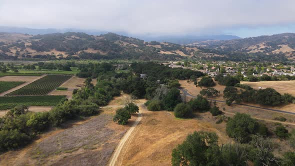Aerial/Drone footage of California Vineyard and Mountains near Solvang