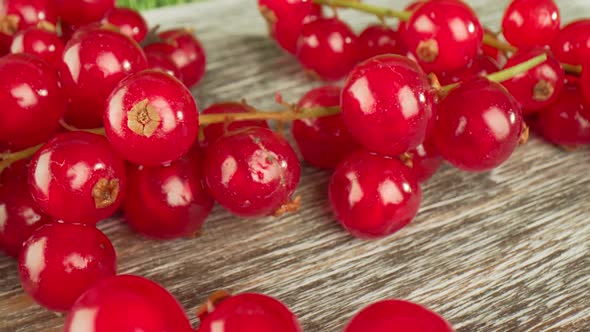 Redcurrants on a Wooden Table alt