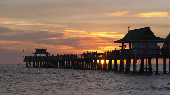 Dark Silhouette of a Pier Over the Ocean at Sunset
