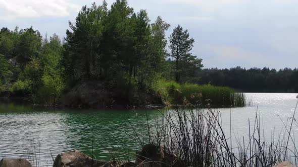 Low View of Beautiful Summer Lake With Grass in Foreground Surrounded by Forest Tracking Left alt