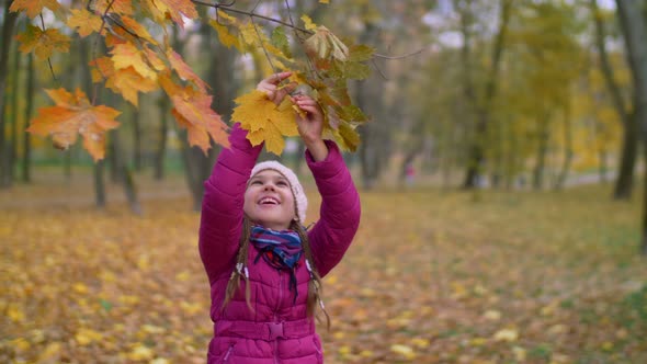 Adorable Child Reaching Branch of Tree in Autumn alt