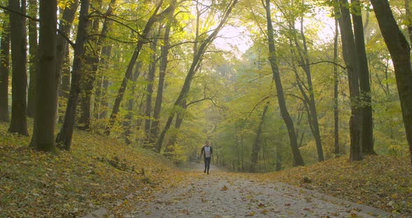 Woman Running in the Sunny City Park. Morning Light alt