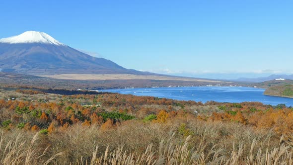 Beautiful nature in Kawaguchiko with Mountain Fuji in Japan alt