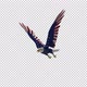 American Eagle - USA Flag - Flying Transition - V - 256
