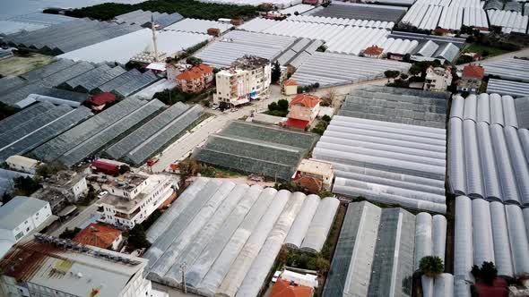 High angle drone aerial view of greenhouse fields of greens plantation in Demre, Turkey alt