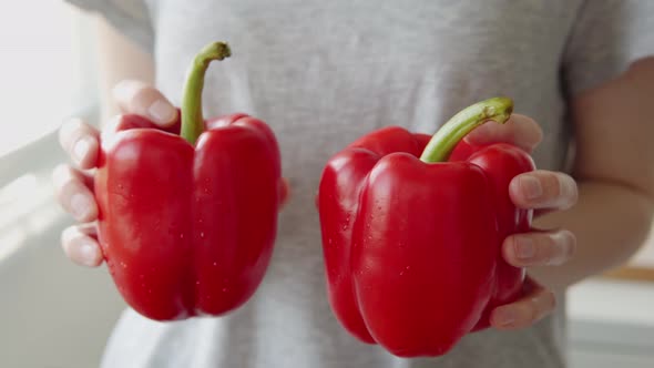 Red Bell Peppers Grown By Farm Employee Grown in a Modern Greenhouse