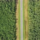 Aerial Top View on Country Road in Forest - VideoHive Item for Sale