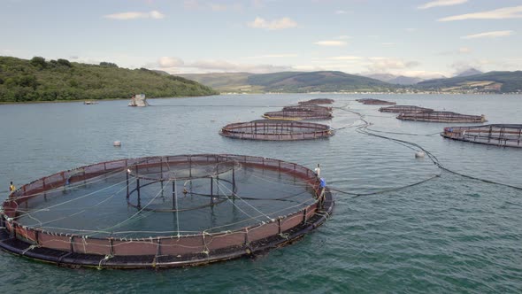 A Salmon Fish Farm in Scotland Providing Aquaculture for Food Markets alt