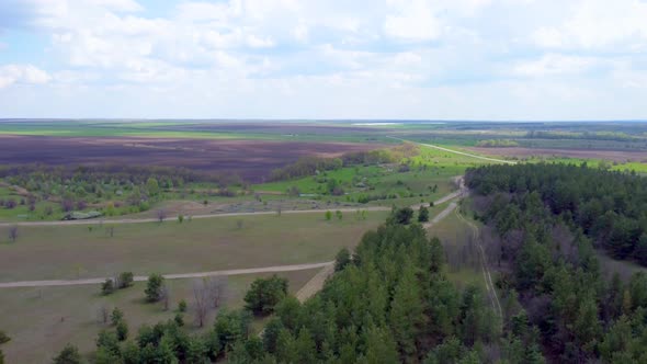 A Bird'seye View of the Road Between the Forest and Green Fields alt