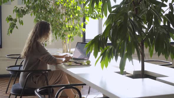 Woman at Laptop on Workplace in Modern Office