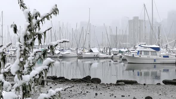 Winter City - Snowy Harbour alt